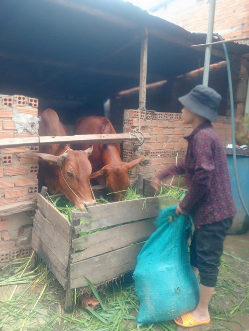 HỘI LHPN THỊ TRẤN BUÔN TRẤP LUÔN QUAN TÂM VÀ SÁT SAO VỚI NGƯỜI DÂN TRÊN ĐỊA BÀN THỊ TRẤN BUÔN TRẤP